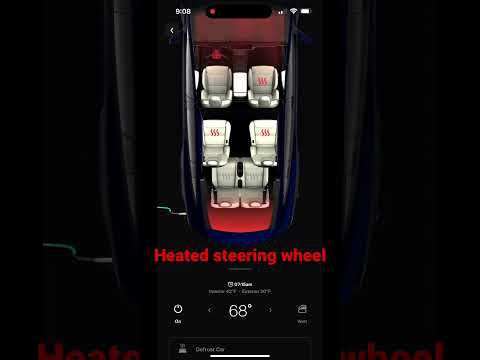 A Tesla Is Always The Perfect Temperature Even In Freezing Weather